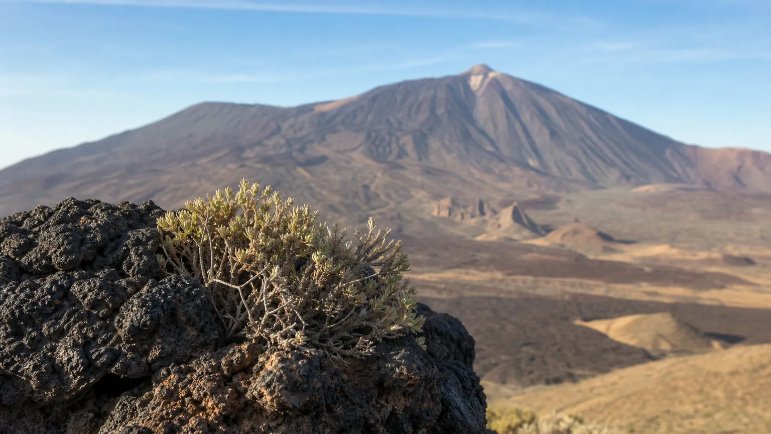Pico del Teide i morgensol bag sorte lavafelter og lav vegetation i Teide Nationalpark på Tenerife